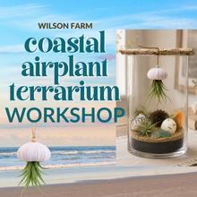 Coastal Air Plant Terrarium Workshop
