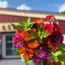 CSA - Cut Flower Share