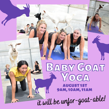 Baby Goat Yoga