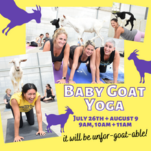 Baby Goat Yoga - July & August