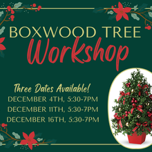 Boxwood Tree Workshop: 3 Sessions