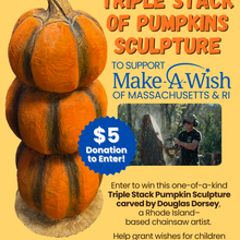 Make A Wish Pumpkin Sculpture Raffle
