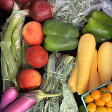 Corporate CSA - Small Produce Share