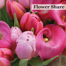 CSA - Flower Share