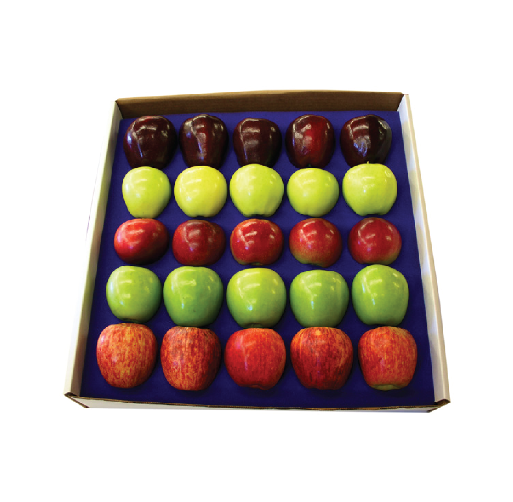 https://shop.wilsonfarm.com/cdn/shop/products/ready-to-ship-apples_9fe34e79-7471-42ba-8898-7c8f457674d7.png?v=1636745854