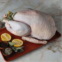 Turkey - Organic